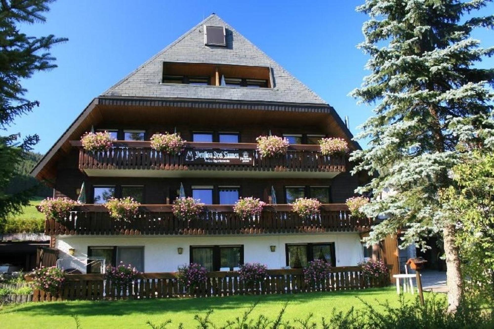 Drei Tannen - Wohnung 04 - Apartmenthaus, Titisee, Nahe Badeparadies Exterior foto